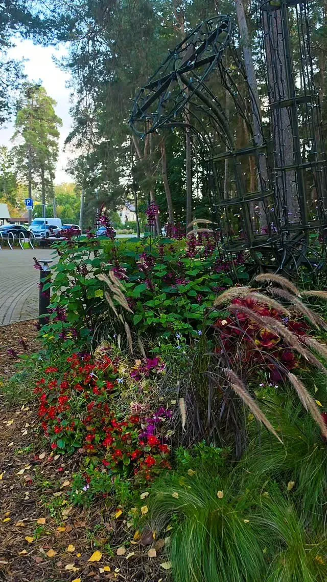Rudens puķu dobe un izgaismota arka Saulkrastos